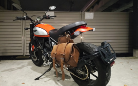 DUCATI SCRAMBLER ICON 2020 KB02