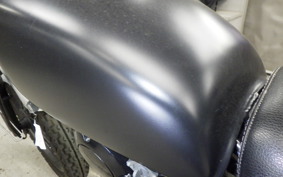 KAWASAKI 250TR 2022 BJ250F