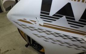 YAMAHA WR250X 2020 DG15J