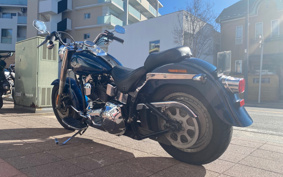 HARLEY FLSTF 100th 2002 BMY
