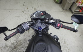 KAWASAKI NINJA 250 EX250L