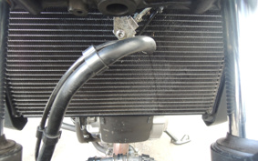 SUZUKI SV650 2021 VP55B