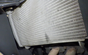 YAMAHA YZF-R25 A RG74J
