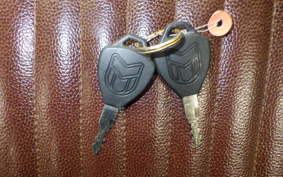 OTHER +MUTTｻﾊﾞｽ250