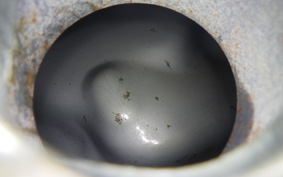 HONDA STEED 400 1995 NC26