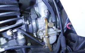 SUZUKI TS185 2011