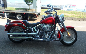 HARLEY HARLEY FLSTF1340-1450 2007 BX5