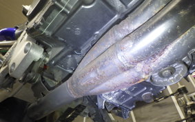 HONDA HORNET 250 MC31