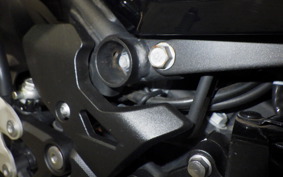 KAWASAKI NINJA 250 2 2021 EX250P