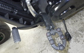 HARLEY FXDRS1870 2019