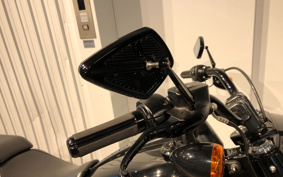 HARLEY FLFBS 2020 YRK