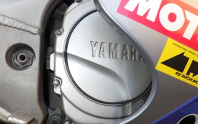 YAMAHA FZR1000 1991 3GM