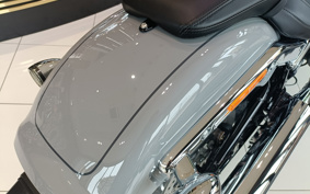 HARLEY  HARLEY FLFBS 2025 YGK