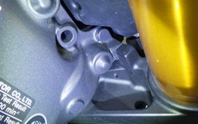 YAMAHA MT-09 SP 2024 RN87J