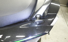 KAWASAKI ZX 1400 NINJA R A 2019