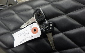 YAMAHA VIRAGO 250 2022 3DM