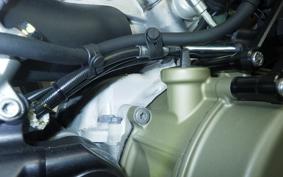 DUCATI STREETFIGHTER V4 S 2024