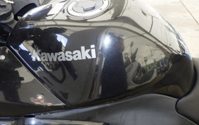 KAWASAKI NINJA 250R 2019 EX250K