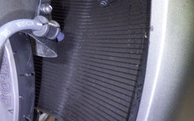 HONDA CBR600RR 2025