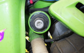 KAWASAKI KDX200SR 2024 DX200G