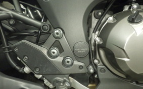 KAWASAKI VERSYS 1000 2015