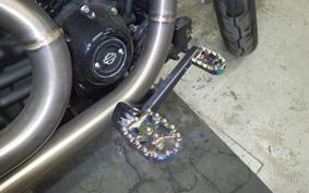 HARLEY FXLRS1870 2019