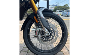TRIUMPH TIGER 900 RALLY PRO 2025 TRC83D