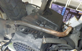 HONDA ZOOMER 2024 AF58