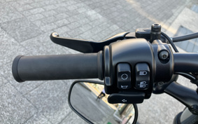 HARLEY XL1200X 2021 LC3