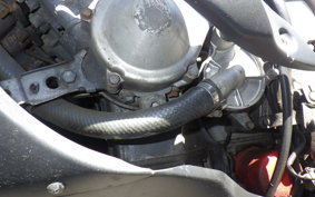 YAMAHA FZR250 Gen.2 R 3LN