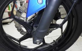 KAWASAKI Z250 SL BR250E