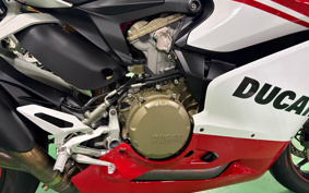 DUCATI 1299PANIGA-RES 2015 ZDMH905JAFB