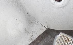 HONDA C50 SUPER CUB 1986 AA01