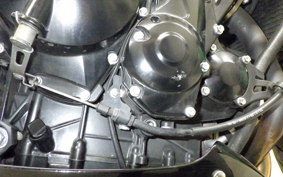 TRIUMPH STREET TRIPLE 2009