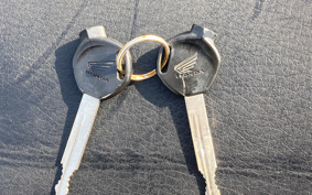 HONDA ZUMAR AF58