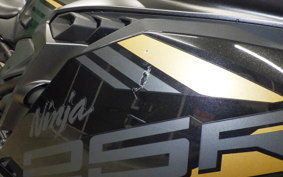 KAWASAKI ZX-25R 2005 ZX250E