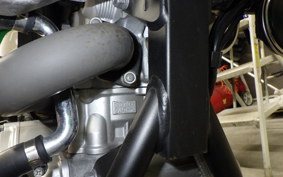 YAMAHA WR250X 2025 DG15J