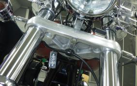 HARLEY FXDL 1580 2009