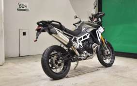 TRIUMPH TIGER 900 RALLY PRO 2025