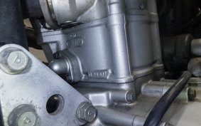 KAWASAKI KLX250D TRACKER X 2017 LX250V