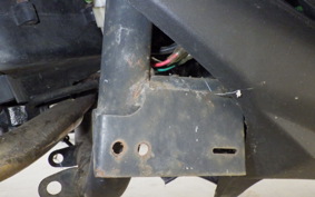 OTHER +UNREGISTERED MODEL by BDS TRIKE200