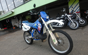 SUZUKI RMX250 S SJ13A