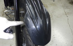 YAMAHA WR250X DG15J