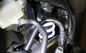HONDA CBR250RR 2021 MC51