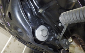 YAMAHA TW225 2019 DG09J