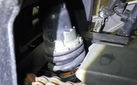 KAWASAKI Z250 2021 ER250C