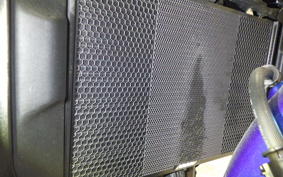 YAMAHA XSR900 2024 RN80J