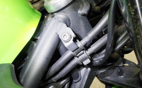 KAWASAKI NINJA 250 2 2024 EX250Y