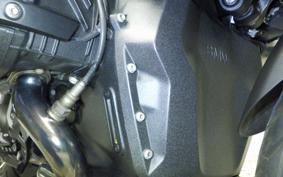 BMW R1300GS 2024