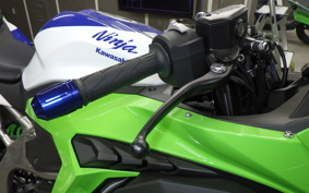 KAWASAKI ZX-4RR40TH 2024 ZX400P